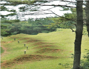 청양 다락골 줄무덤, 천주교 성지로 급부상!!
