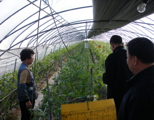 “폭설, 강풍에 농작물 주의하세요”