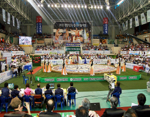 청양군 스포츠마케팅, 지역경제 활성화 효과 커