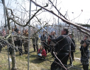 명품 청양사과 품질고급화 교육