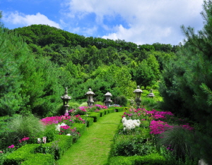 ‘고운식물원’ 다채로운 야생화 활짝!