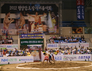 2013 청양단오장사 씨름대회 개최