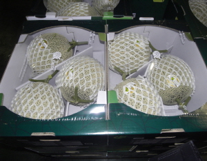 칠갑산 청양멜론 홍콩 수출길