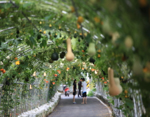 ‘제3회 칠갑산 세계 조롱박 축제’ 팡파르
