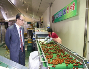 ‘칠갑산 알밤’ 올해 첫 수출