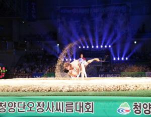 스포츠 마케팅으로 107억원 성과
