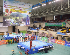 전국종별신인복싱대회 개막