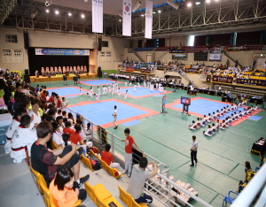 2014 문화체육관광부장관기 전국초등학교 태권도대회 개막