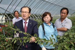 전국제일 구기자 생산지 청양군, 수확기 업그레이드로 농민 불편 줄여
