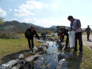 지천생태공원 연못에 붕어, 다슬기, 잉어 방류