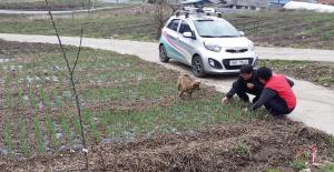 청양, 영농현장 찾아가는 ‘농가 맞춤형 종합상담반’ 운영