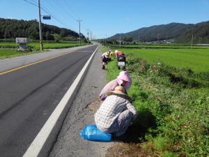 운곡면 고추구기자축제 손님맞이 준비에 구슬땀 흘려