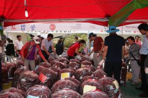 제16회 청양고추ㆍ구기자축제 성료, 선별한 고추 전량 판매!