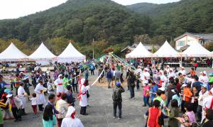제17회 칠갑산 장승문화 축제 성료