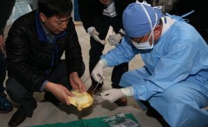 청양군, 황금자라 세계 최초 복제추진 성공여부 주목