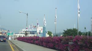 청양군, 나라사랑 태극기 달기운동 적극 추진