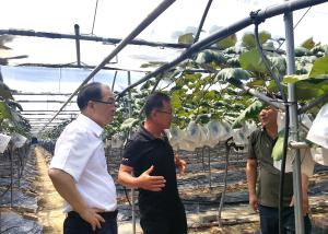 칠갑산 포도작목반 간담회 개최