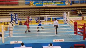 청양군 복싱팀 금빛 메달사냥 시동