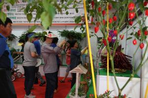 아름다운 ‘세계 고추’ 한자리에 모인다!