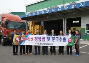 최고의 품질 청양 밤, 올해 첫 수출 선적