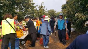 청양군, 가을 정취 만끽하는 1석2조 ‘알밤 줍기’ 행사 곳곳 개최