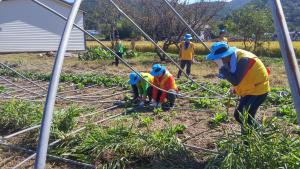청양군, 울산 태풍 피해지역 현장복구 지원 나서