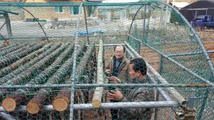 정산면 마치리 주민주도형 ‘칠갑산 황태덕장’ 운영