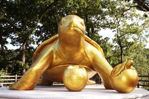 황금복거북이 소원함, 모금액 첫 개봉!