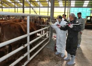 청양군, AI‧구제역 방역 총력 대응
