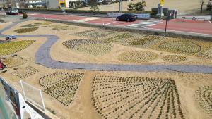 운곡면사무소 옆 아름다운 봄꽃 공원 조성