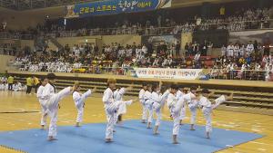 청양, 태권도 기압소리 울려 퍼지다!