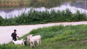 청양, 젊은 귀농부부의 6차산업 스토리