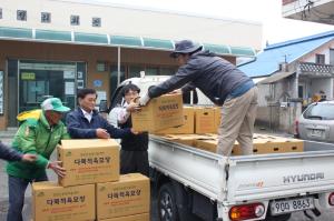 청양군다목적육묘장 우량 고추묘 마을회관까지 공급