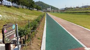 청양읍 백세공원 내 구기자길 화단 분양 실시