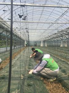 홈플러스, 청양군 중산리 농촌봉사활동 전개