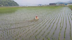 무인보트로 제초제 살포, 노동력 절감 등 효과적