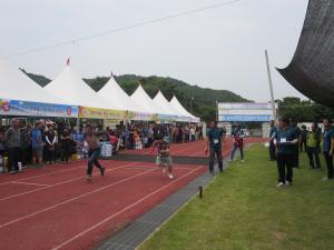 제14회 비봉면민 화합 한마당 체육대회 성황리에 마쳐