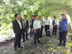 농림부 김현수 차관 청양 알프스마을 방문