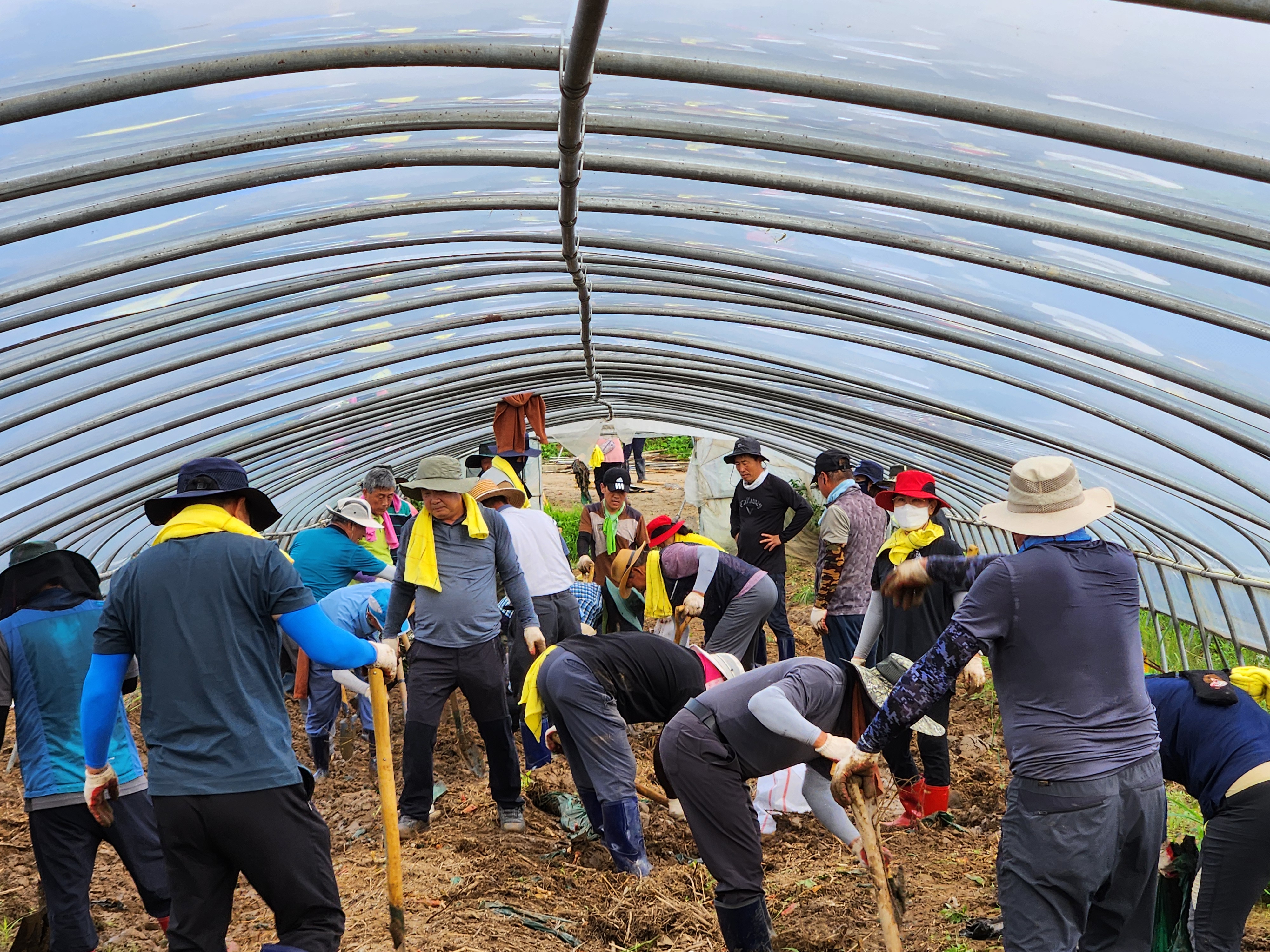 청양군 주민자치회, 부여군 집중호우 피해 농가에 따뜻한 도움의 손길 전해
