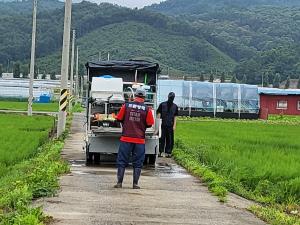 청양군, 벼 병해충 동시 방제 기간 설정