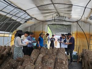 청양군, 표고버섯 원목재배농가 컨설팅 결과보고회 개최