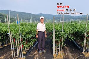 2024 청양 고추왕․구기자왕 탄생