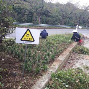 가을철 야외 활동 시 진드기 매개 감염병 조심하세요