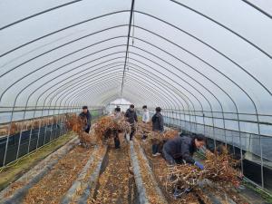 청양군농업기술센터, 2024년 하반기 농촌일손돕기 운영