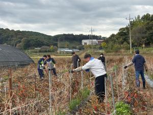 화성면, 2024년 하반기 공직자 농촌 일손돕기 추진