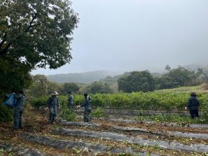 장평면, 가을철 농촌일손돕기 추진