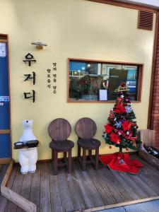 청양우거디