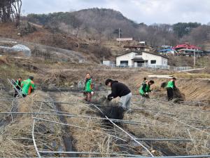 운곡면지역자율방재단 대설피해농가 복구활동 구슬땀