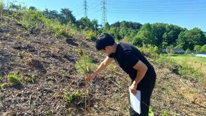 청양군, 2025년 봄철 조림사업 본격 추진