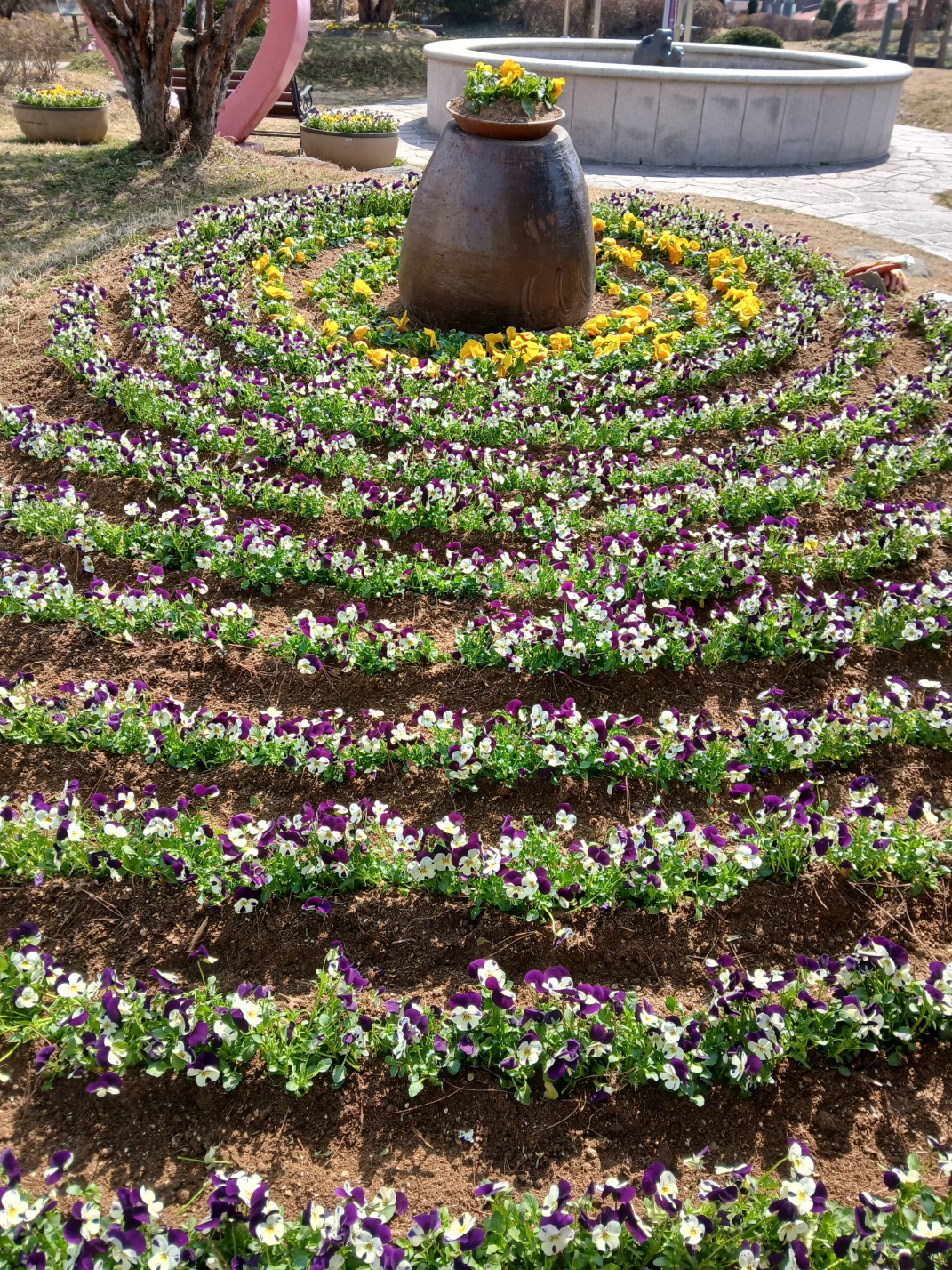 봄향기 가득한 백세공원, 원앙공원 놀러오세요!